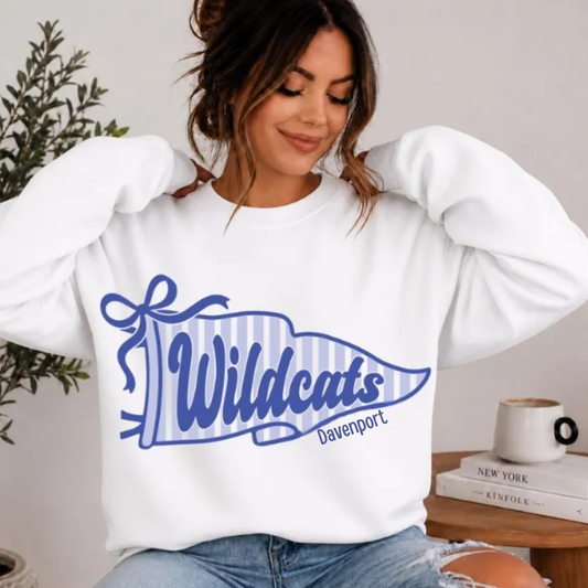 Wildcats Banner Flag